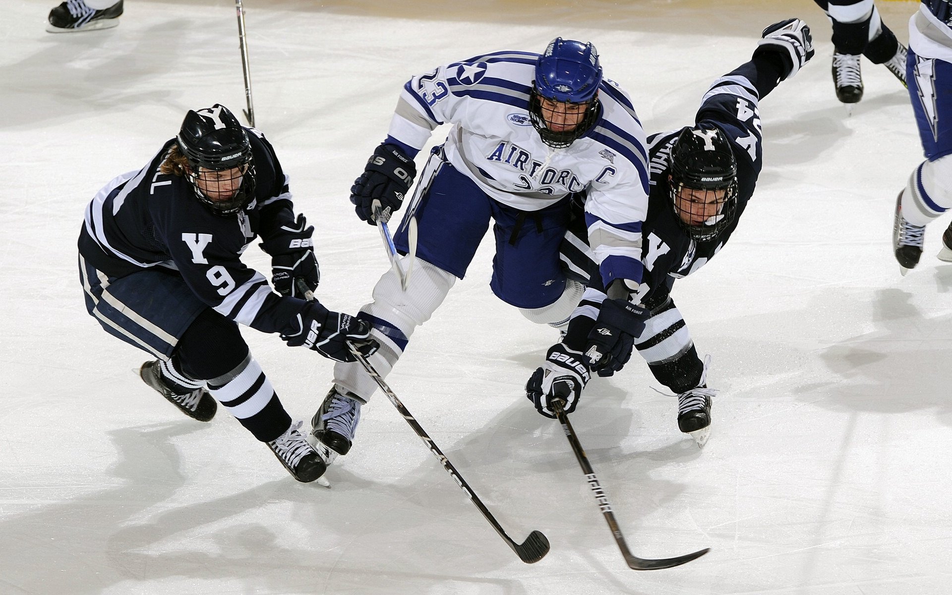 水球团队虽未夺牌，但表现具代表性战斗精神，水球队员位置